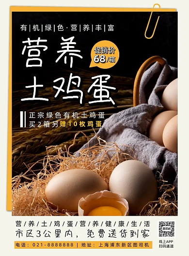 时尚简约营养土鸡蛋促销海报