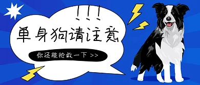 单身汪请注意公众号首图