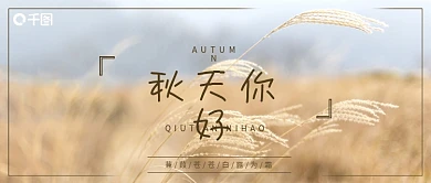 秋天你好芦苇摄影图简约清新微信公众号封面