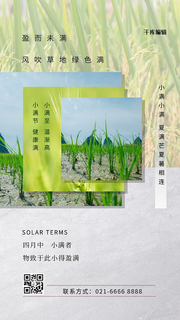小滿節(jié)氣綠色簡約海報(bào)