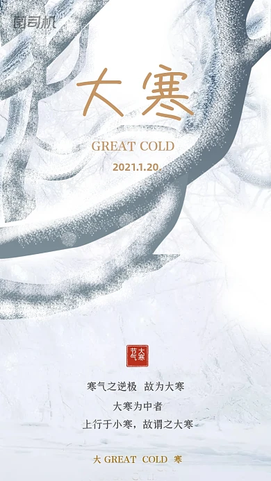 大寒节气白色清新简约手机海报
