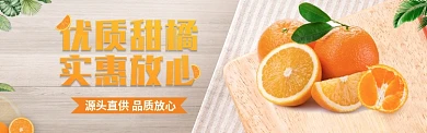 淘宝电商橙子橘子促销上新banner
