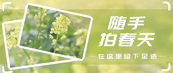 隨手拍春天公眾號(hào)首圖