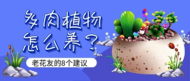 蓝色多肉植物花卉养殖公众号首图