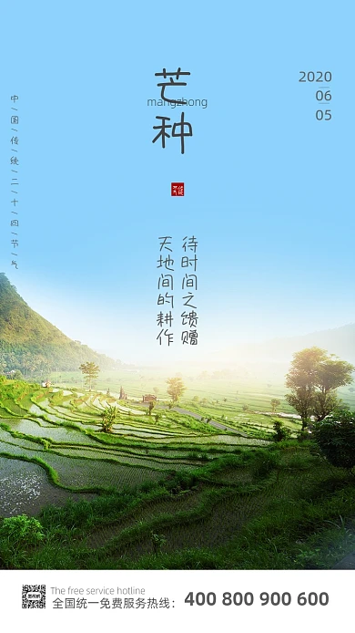 自然风景芒种海报