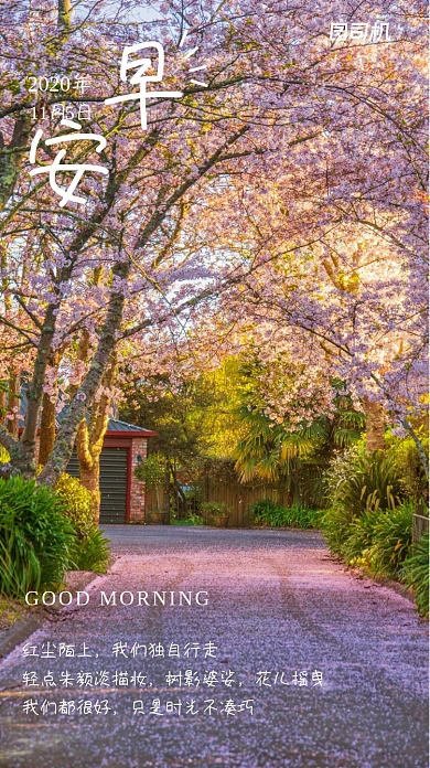 文艺简约早安你好日签手机海报