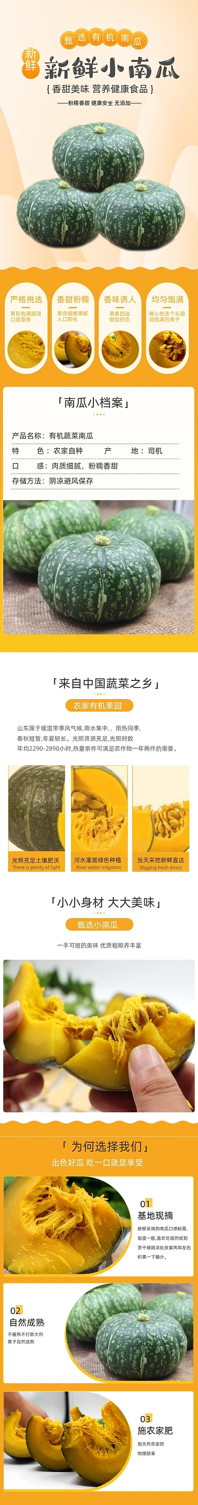 水果南瓜蔬菜食物详情页