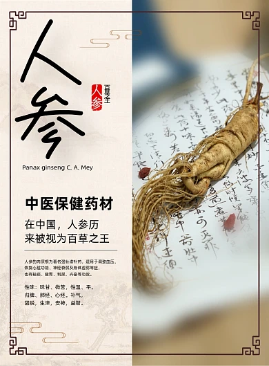 中药中国风百草之王人参功效印刷海报
