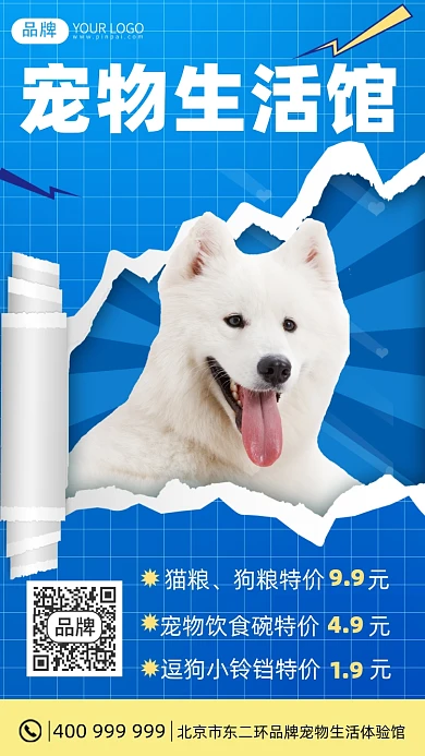 宠物生活馆摄影图海报