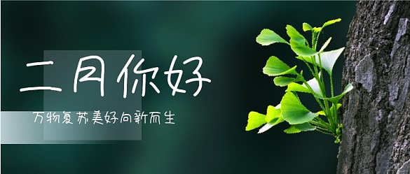 你好二月再見(jiàn)一月公眾號(hào)首圖