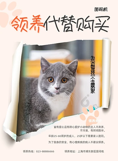 领养代替购买宠物商务印刷海报