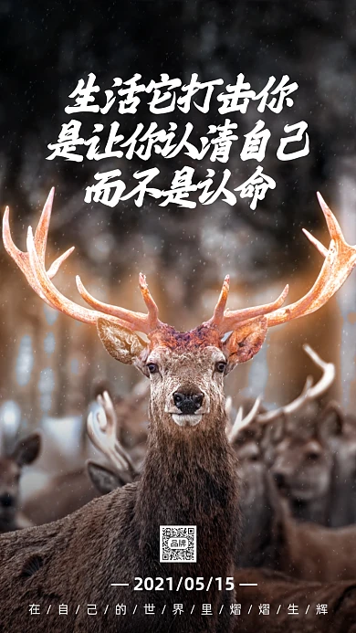 每日一签可爱麋鹿摄影图摄影图海报