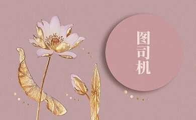 时尚大气荷花名片