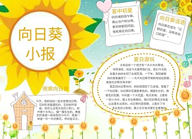 卡通向日葵小报