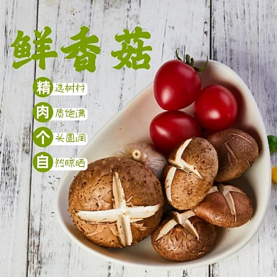 香菇蔬菜食品淘宝主图直通车模板