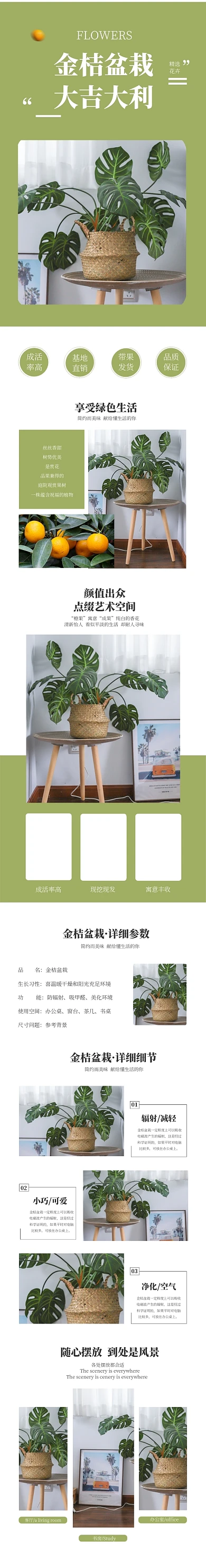绿色简约大气盆栽鲜花电商淘宝详情页