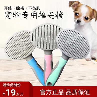 宠物专用推毛梳时尚简约促销主图