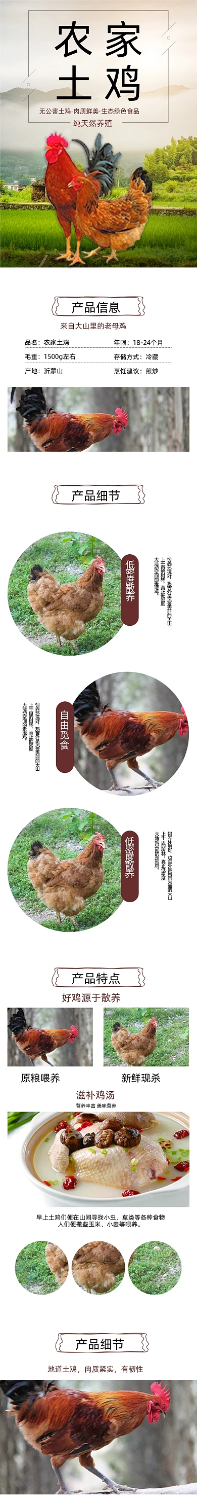 鸡详情页散养土鸡营养农村草鸡