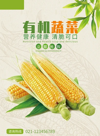 创意清新有机蔬菜海报