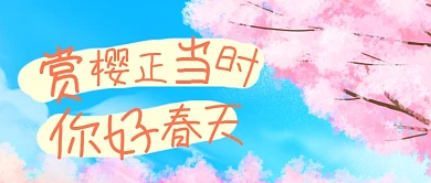 唯美春季春天赏樱花公众号首图