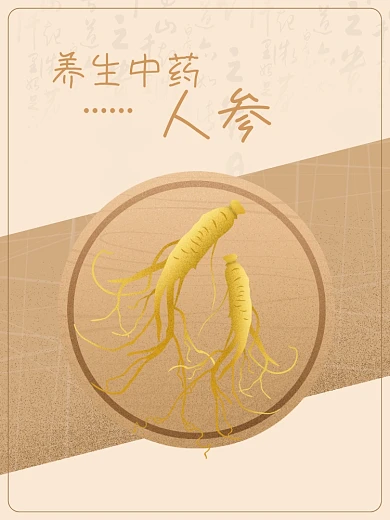 养生中药人参原创插画海报