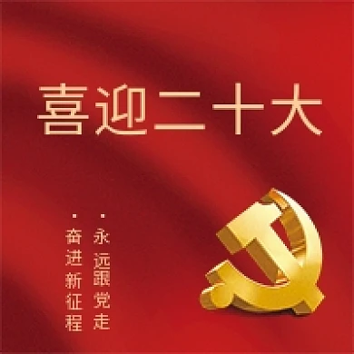 喜迎二十喜迎二十大永远跟党走司法公众号次图