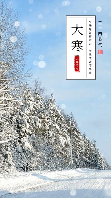 唯美清新简约大寒节气手机海报模板