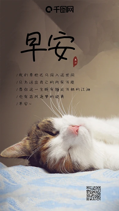 早安你好猫咪文艺问候心语心情手机海报
