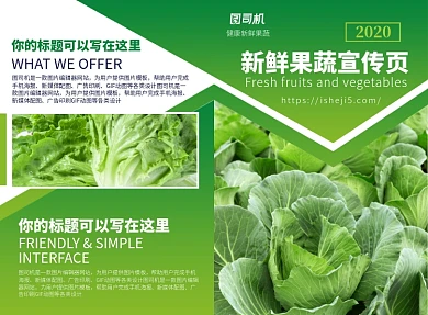 新鲜水果蔬菜宣传广告印刷二折页