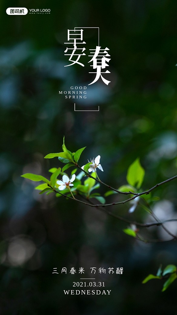 春天唯美攝影風手機海報