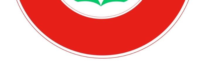 扁平圓形學(xué)校紅色裝飾LOGO
