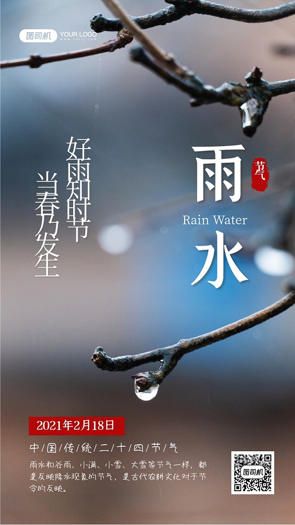 雨水二十四節(jié)氣寫實(shí)手機(jī)海報(bào)