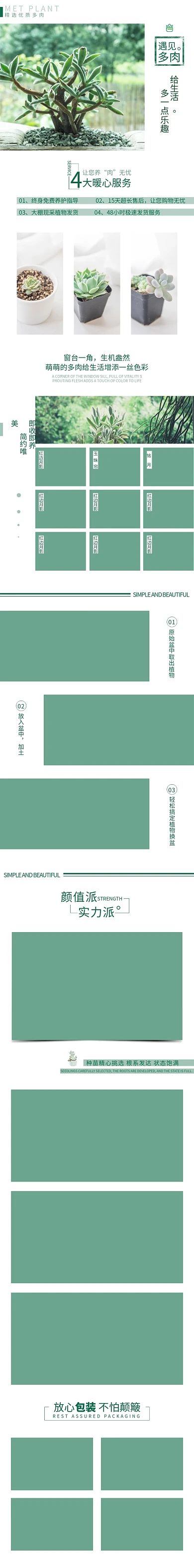 绿色小清新多肉电商详情页
