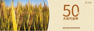 大米促销优惠券代金券