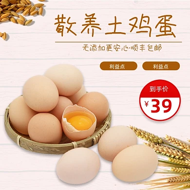 农家土鸡蛋食品主图