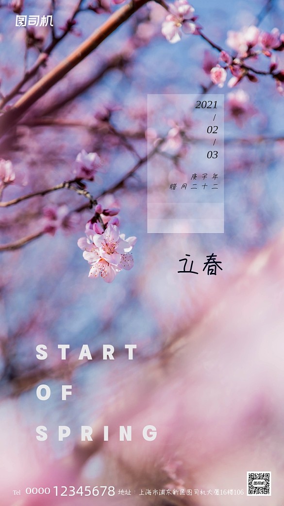 立春節(jié)氣梅花背景文藝手機海報