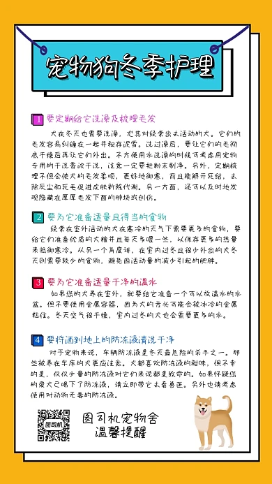 宠物狗冬季护理简约手机海报