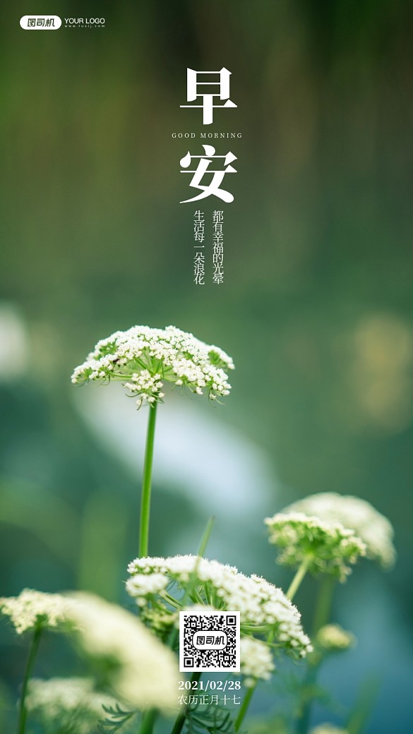 白色野花攝影手機(jī)海報(bào)