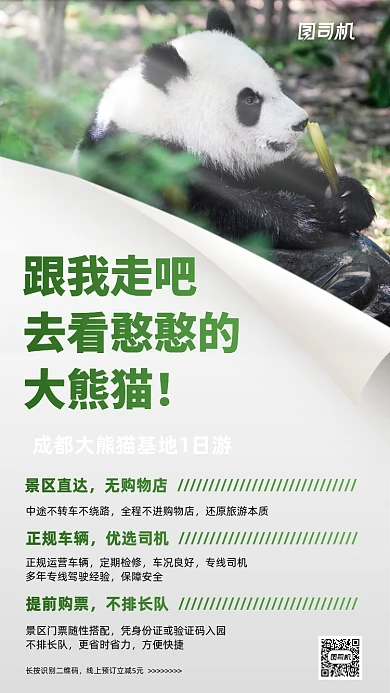 成都大熊猫基地旅行团手机海报
