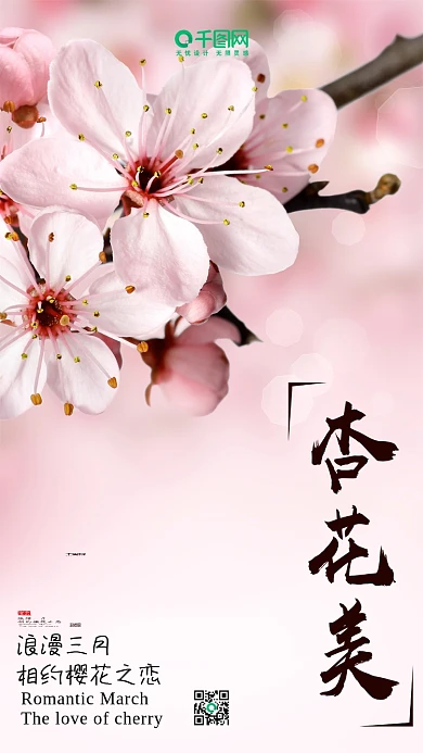 赏杏花杏花季杏花之恋唯美手机配图