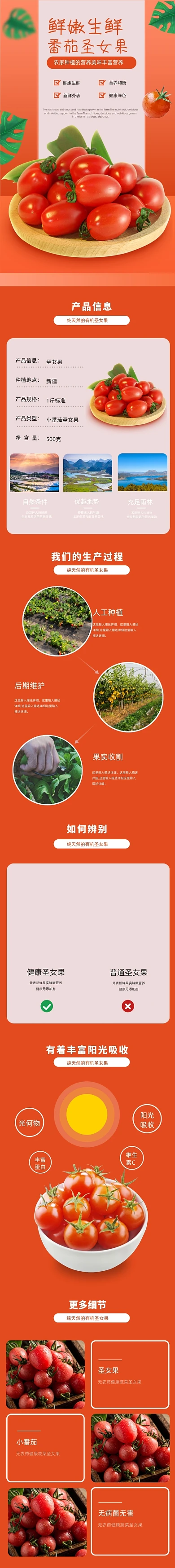 小番茄圣女果西红柿夏季蔬菜详情页