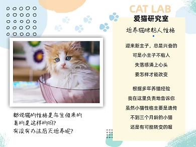 爱猫研究所培养猫咪粘人性格横版配图