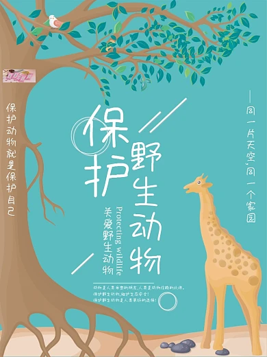 摄影图保护野生动物公益海报