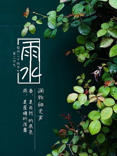 海报二十四节气雨水海报