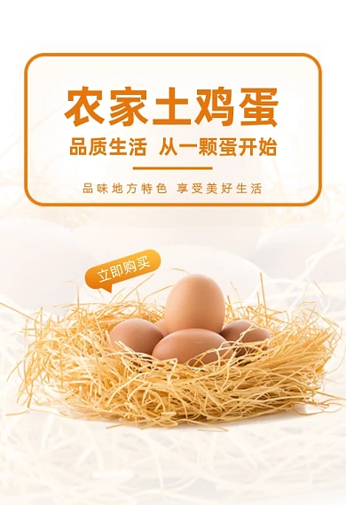高品质农家土鸡蛋限时购买钻展