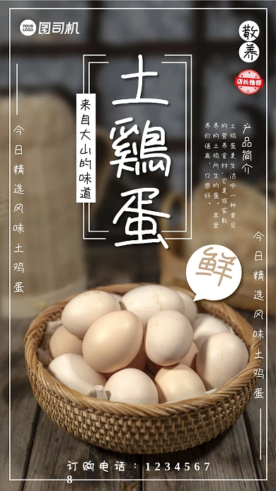 特价土鸡蛋促销简约手机海报