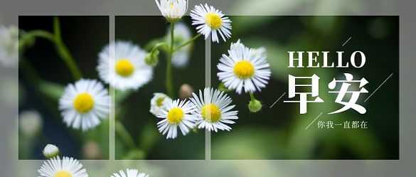 早安公眾號首圖