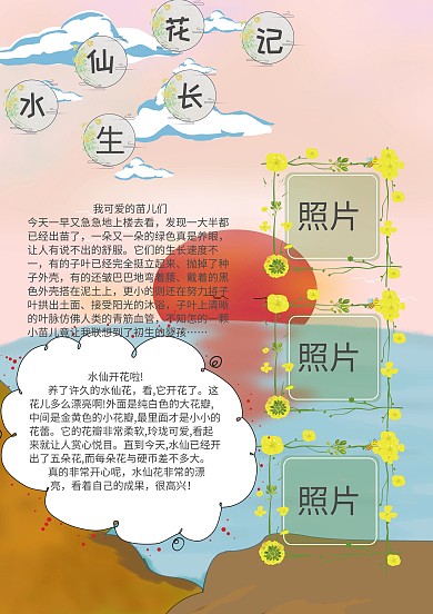 植物成長觀察水仙花小報(bào)手抄報(bào)模板