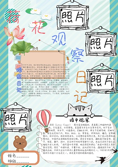 荷花观察日记卡通小学生小报模板