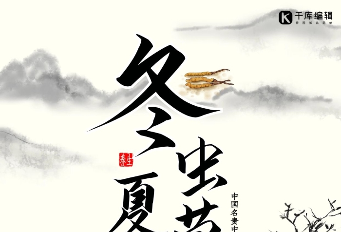 藥材益氣白色水墨中國風海報
